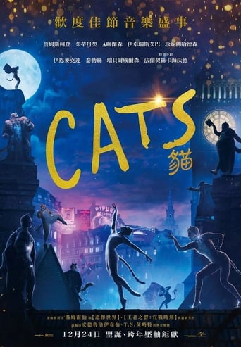 猫.2019